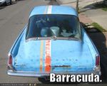 Barracuda1