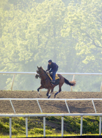 Barbaro Barbaro
