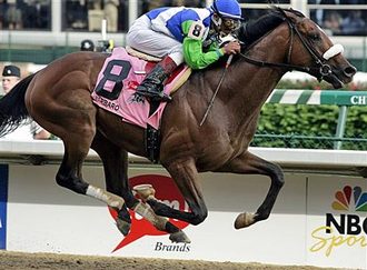 Barbaro2 Barbaro2