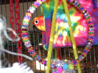 Dscn1709 Dscn1709