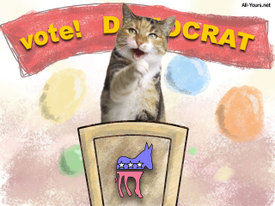 Votecat_1 Votecat_1