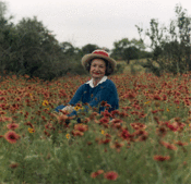 Wildflowers1