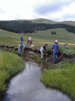 Stream1