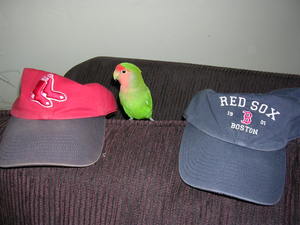 Dscn3335 Dscn3335