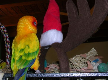 Dscn3495 Dscn3495