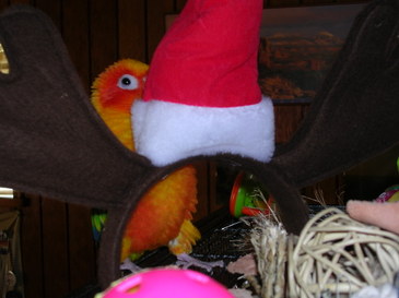Dscn3497 Dscn3497