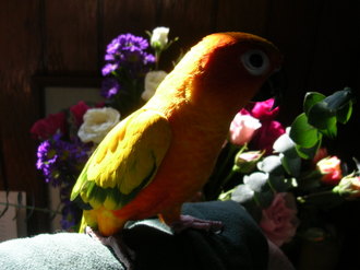Dscn3897 Dscn3897