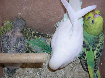 Dscn0305