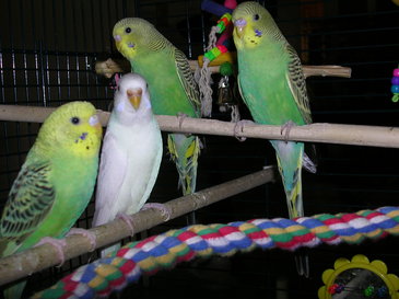Dscn0436_1