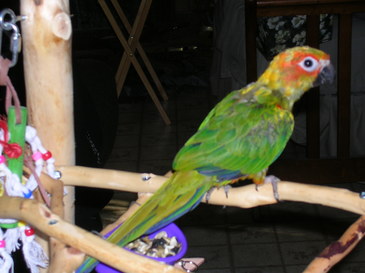 Dscn0715