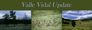 Vallevidal_3