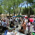 The crowd at Pridefest