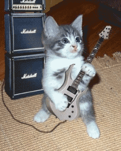 Newyearcat Newyearcat
