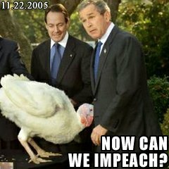 Turkeybush Turkeybush